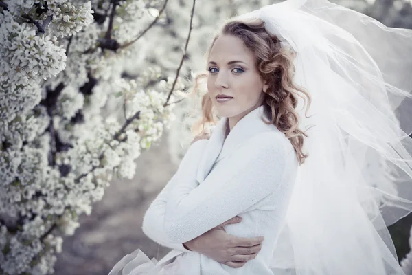 Retrato sereno de la novia — Foto de Stock