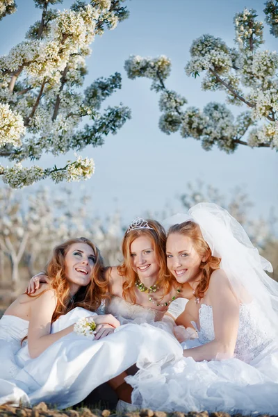 Gelukkig bruiden — Stockfoto