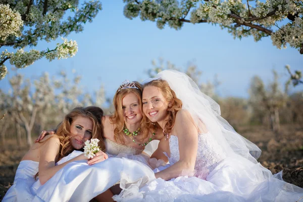 Šťastné nevěsty — Stock fotografie