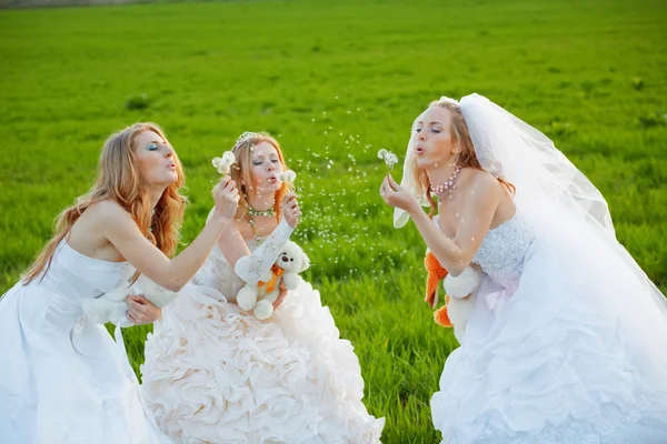 Young brides — Stock Photo, Image