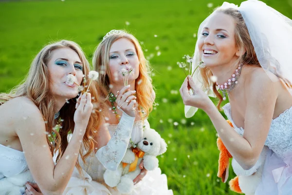 Young brides — Stock Photo, Image