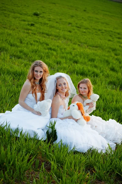Mladé nevěsty — Stock fotografie