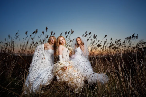 's avonds bruiden — Stockfoto