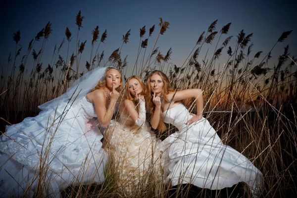 's avonds bruiden — Stockfoto