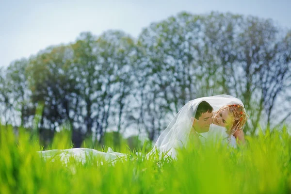 Loving wedding couple — Stock Photo, Image