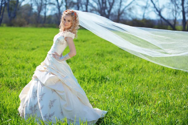 Bruid poseren in veld — Stockfoto