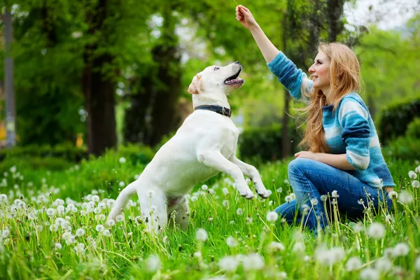 Vrouw met labrador — Stockfoto