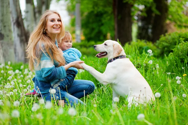 Nő, a lány és a kutya — Stock Fotó