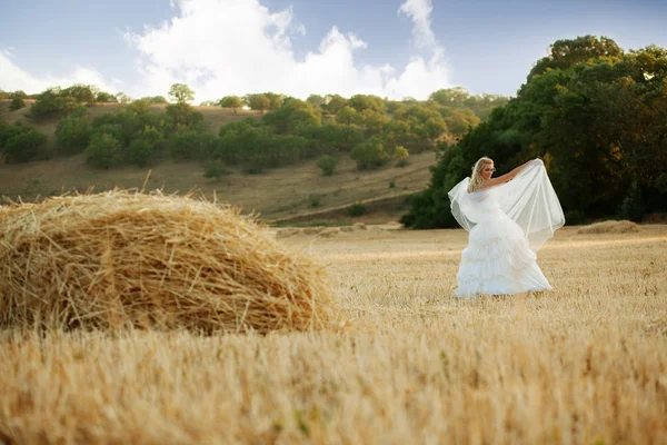 Bride in field — Stock Photo, Image