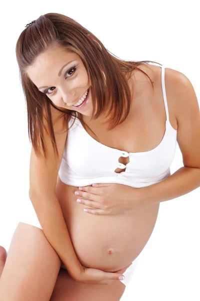 Schöne schwangere Hündin — Stockfoto