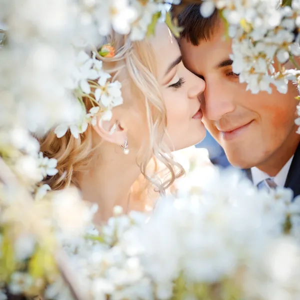 Casal de casamento na primavera — Fotografia de Stock