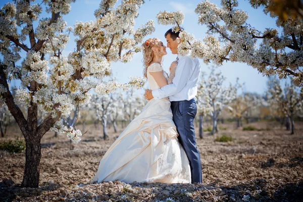 Casamento de primavera — Fotografia de Stock
