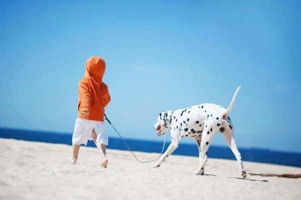 Bambino con cane — Foto Stock