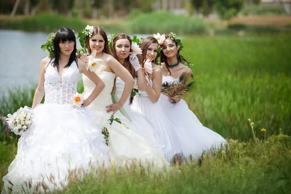 stock image Brides