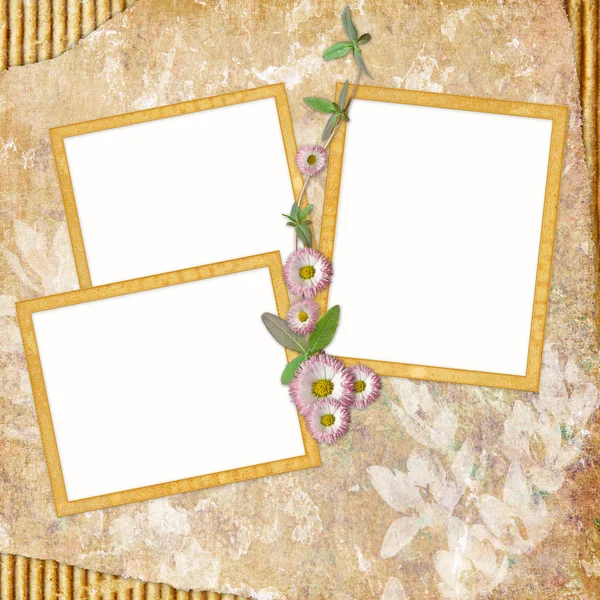 Background with frame and flowers — Stock Photo, Image