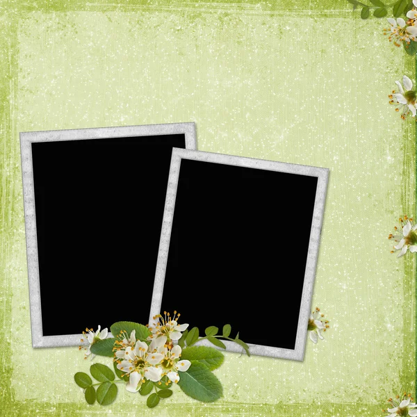 Achtergrond met frame en bloemen — Stockfoto