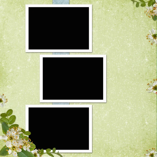 Achtergrond met frames en bloemen — Stockfoto