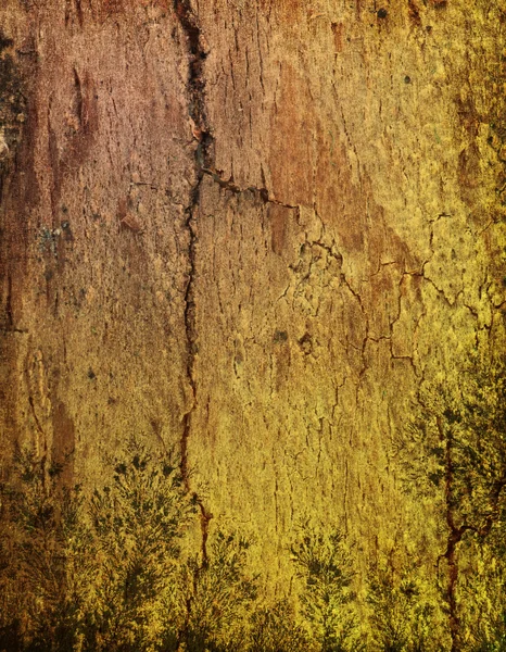 Holz grungy Hintergrund — Stockfoto