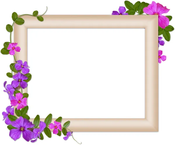 Romantic frame — Stock Photo, Image