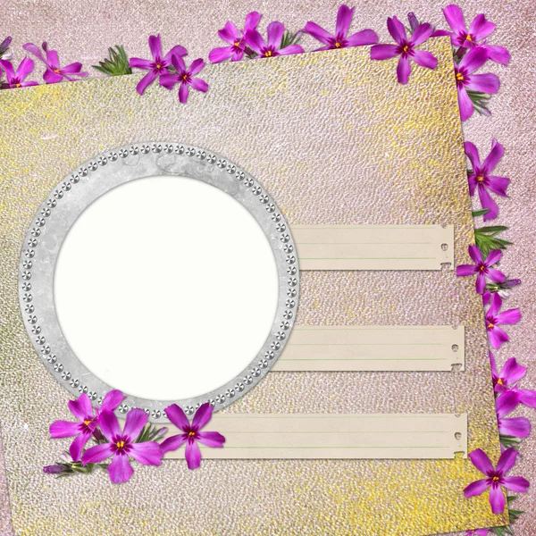 Summer background with circle frames — Stock Photo, Image