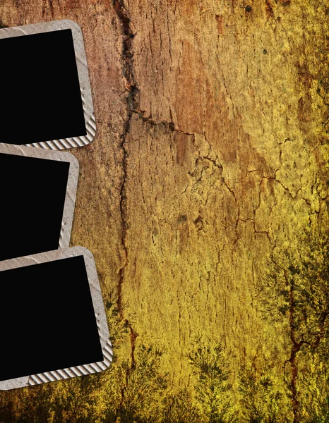 Vintage ramar på trä bakgrund — Stockfoto