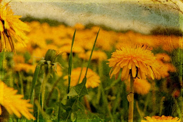 Vintage Papier mit Blumen — Stockfoto