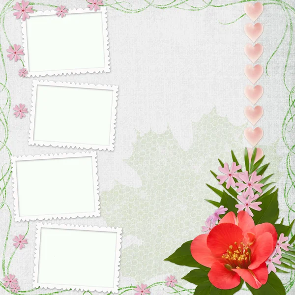 Background with frame and flowers — Stock Photo, Image