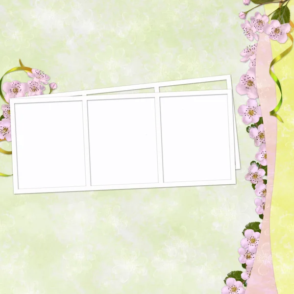 有框架和花朵的夏季背景 — 图库照片