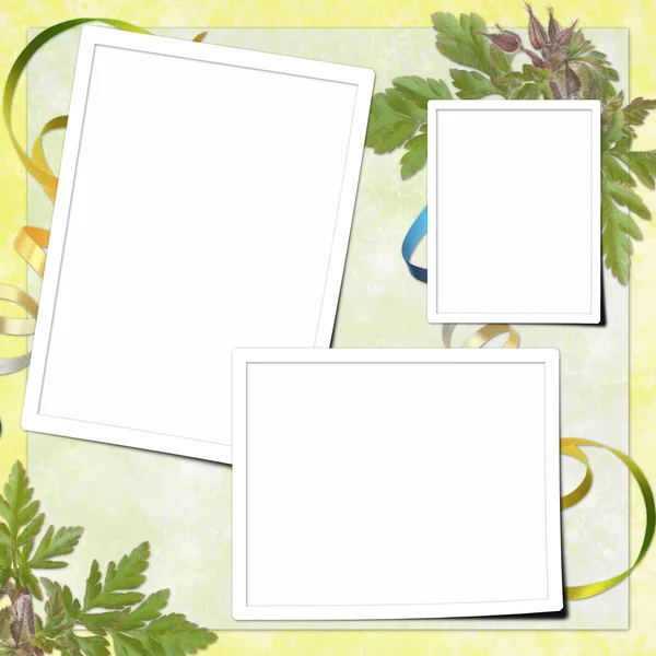 Summer background with frame — Stock Photo, Image