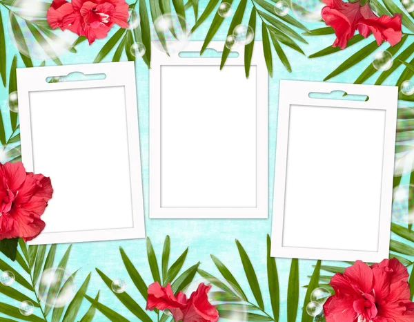 Zomer achtergrond met frame en bloemen — Stockfoto