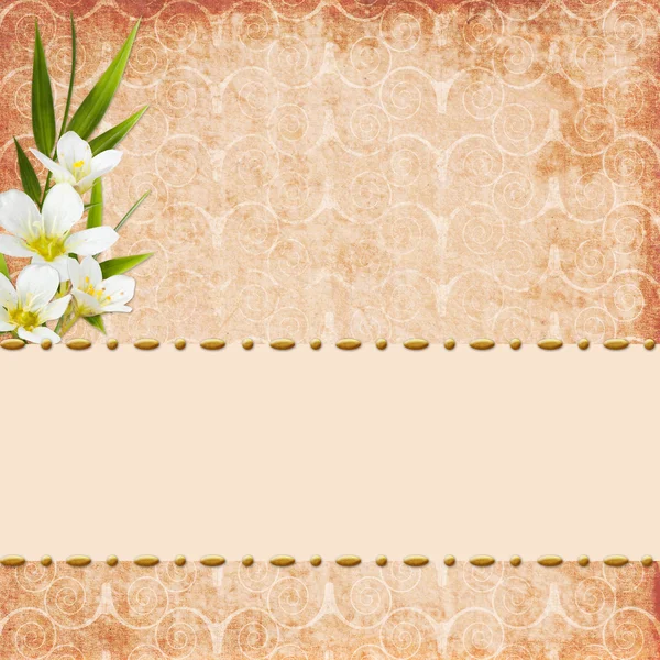 Vintage background for invitation or congratulation — Stock Photo, Image