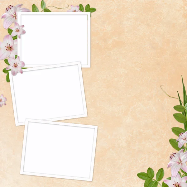 Summer background with frame and flowers — Stock Photo, Image