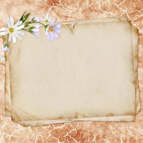 Stary papier na teksturowanej tło zaproszenie lub congratulatio — Zdjęcie stockowe