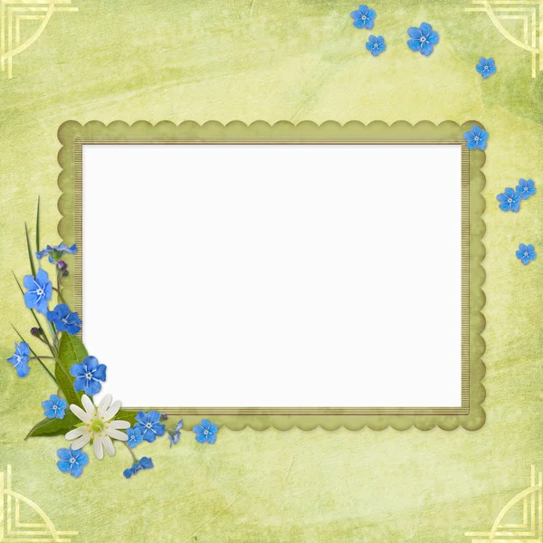 Framework for invitation or congratulation. — Stock Photo, Image