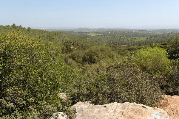Mediterrane Landschaft mit bewaldeten Hügeln — Stockfoto