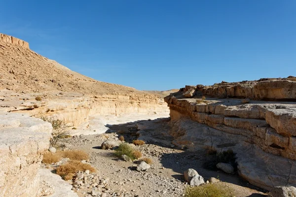 Canyon dans le désert rocheux — Photo