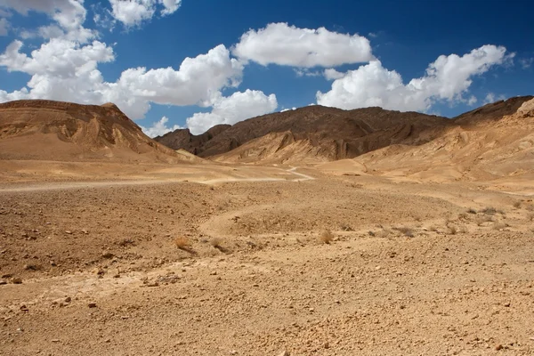 Мальовничі пустельний ландшафт — стокове фото