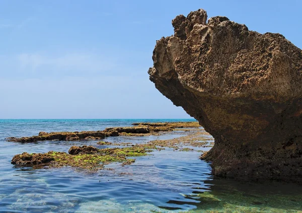 ภูมิทัศน์ชายฝั่งทะเลที่มีหินและวัชพืช — ภาพถ่ายสต็อก