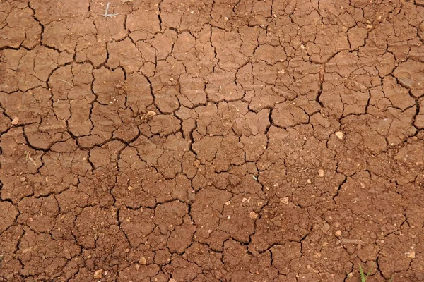 Gebarsten grond in droogte — Stockfoto