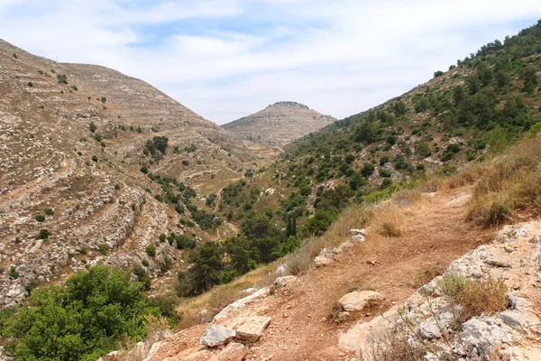 Mediterrane bergachtige landschap — Stockfoto