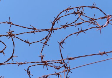 Twisted strands of barbed wire on sky background clipart