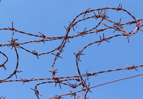 stock image Twisted strands of barbed wire on sky background