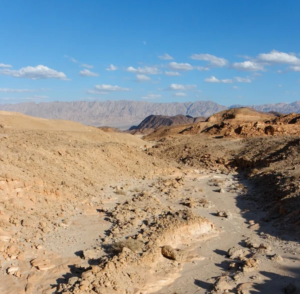 Tør bæk i klippefyldt ørken - Stock-foto