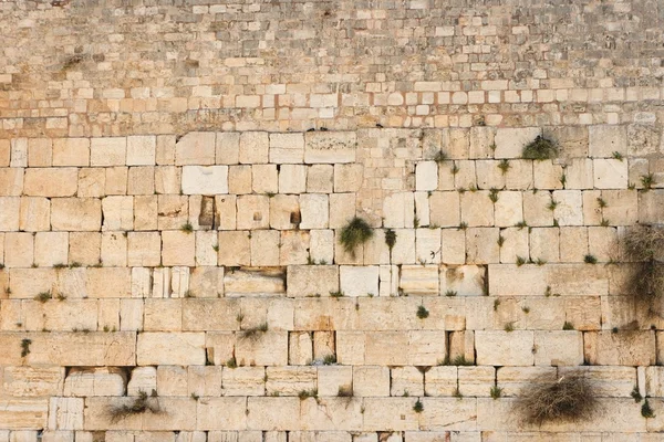 Muro das Lamentações (Muro Ocidental) na textura de Jerusalém — Fotografia de Stock