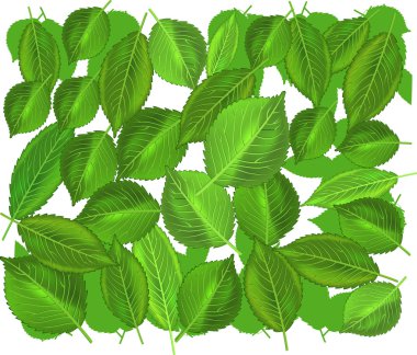 Green leaves clipart