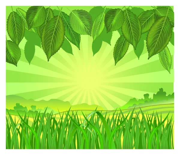 Nature — Stock Vector