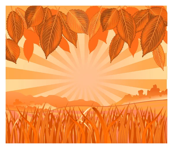 Natuur in oranje — Stockvector