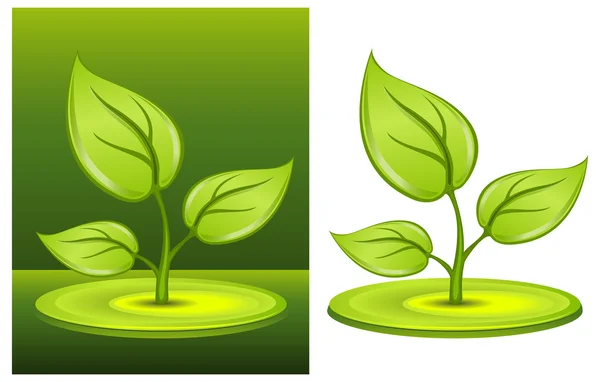 녹색 식물 — 스톡 벡터
