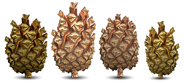 Four pine cone — Stock Vector