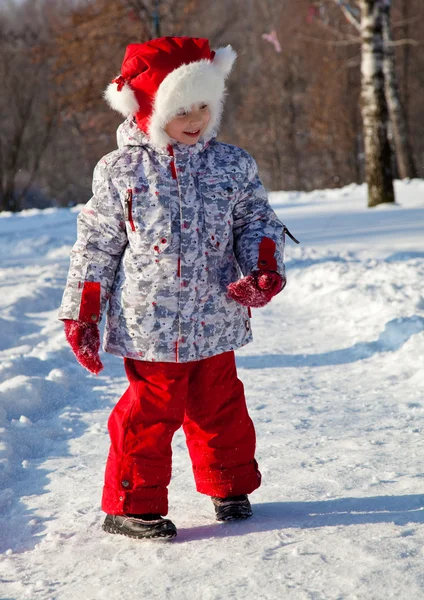 一个冬季公园散步的小女孩 — 图库照片